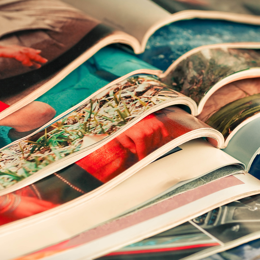Revistas